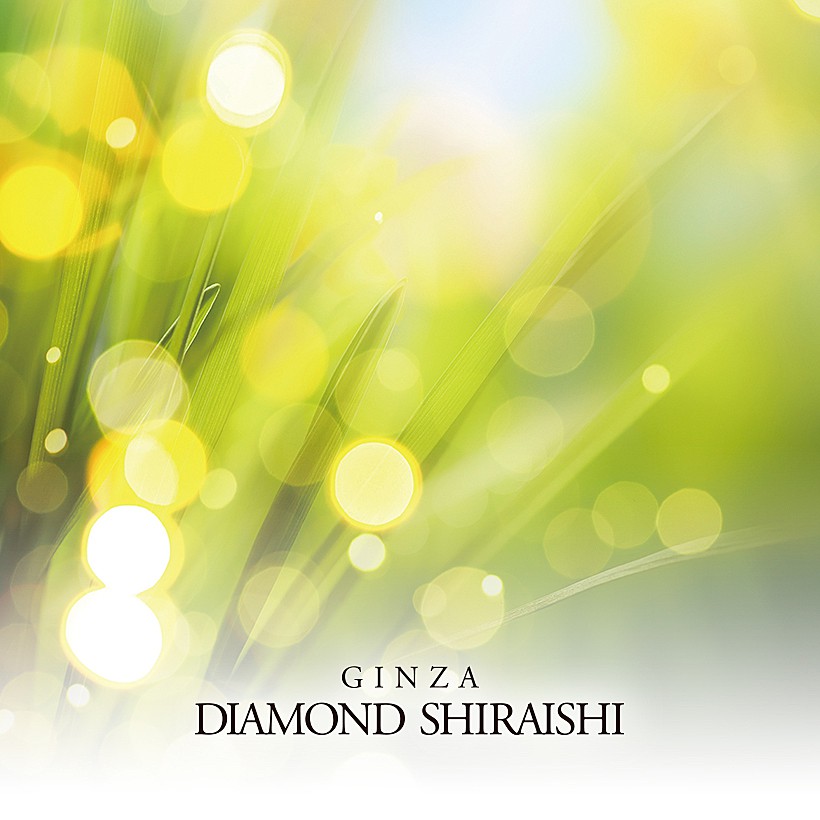 Diamond Grass（ダイヤモンド グラス）