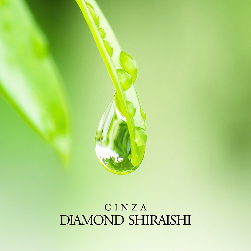 Tricklearth（トリクルアース）