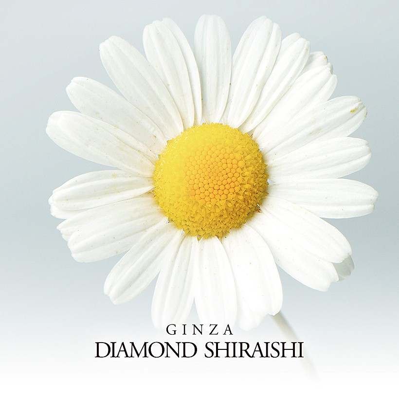 Smiling Daisy（スマイリング デイジー）