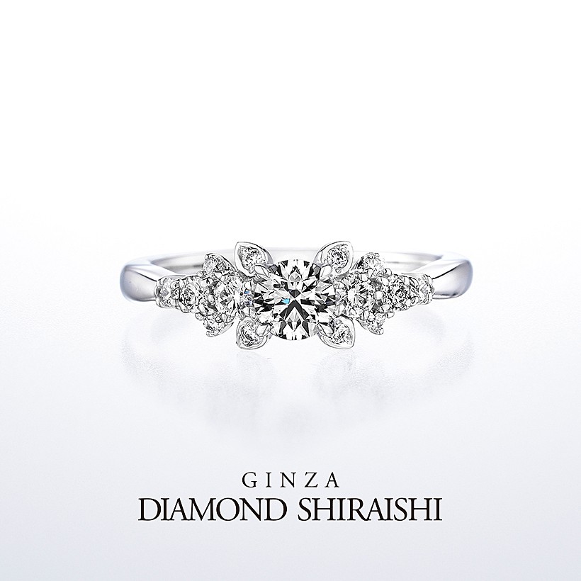 Diamond Grass（ダイヤモンド グラス）
