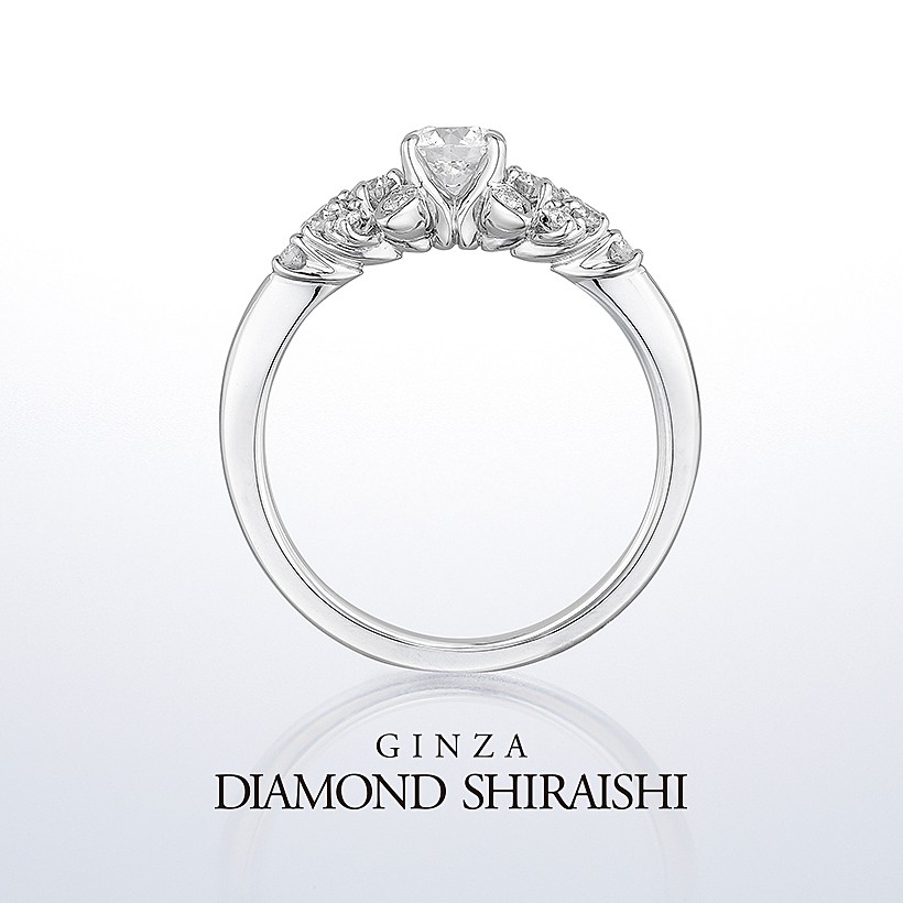 Diamond Grass（ダイヤモンド グラス）