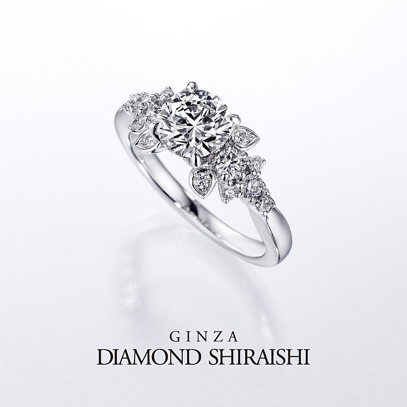 Diamond Grass（ダイヤモンド グラス）