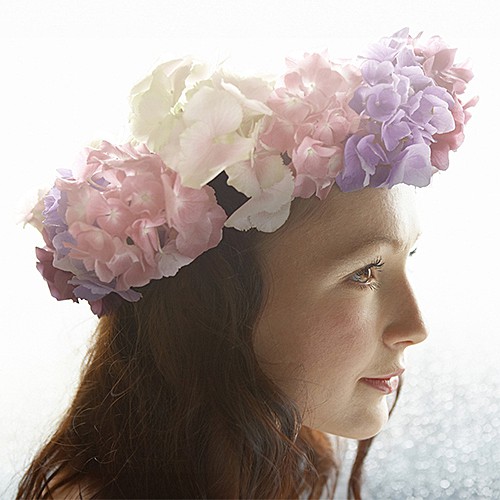 Reine de Corolle（レーヌ ド コロール）