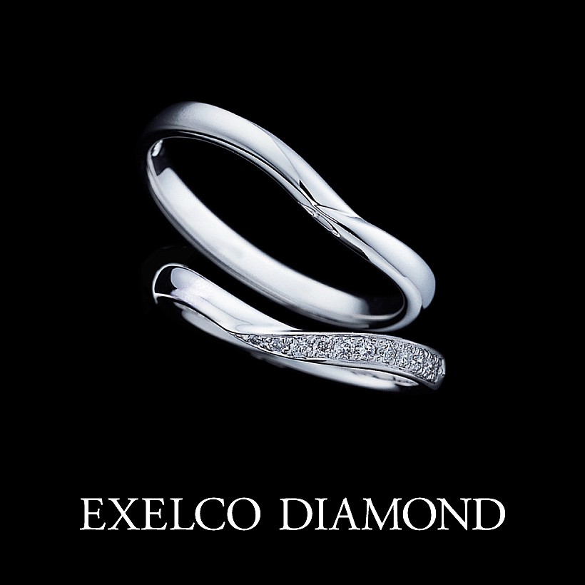 Viola 4（ヴィオラ）