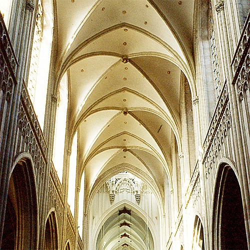 Lumieretour Fine（リュミエトゥール フィーヌ）