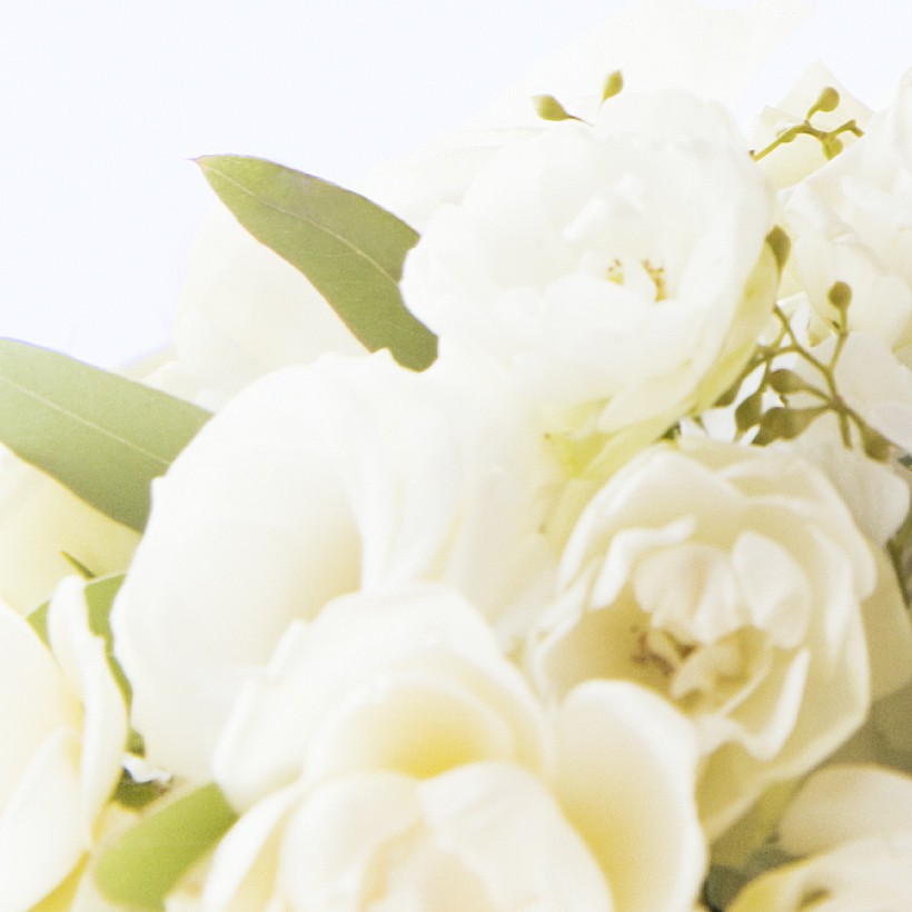 Bonheur Fine（ボヌール フィーヌ）