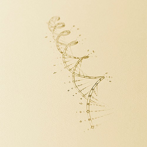 Chance Éternelle（シャンス エターナル）