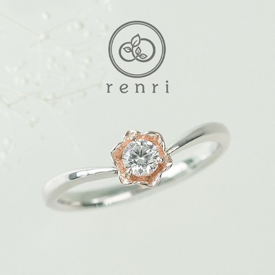 【花こよみ】水仙