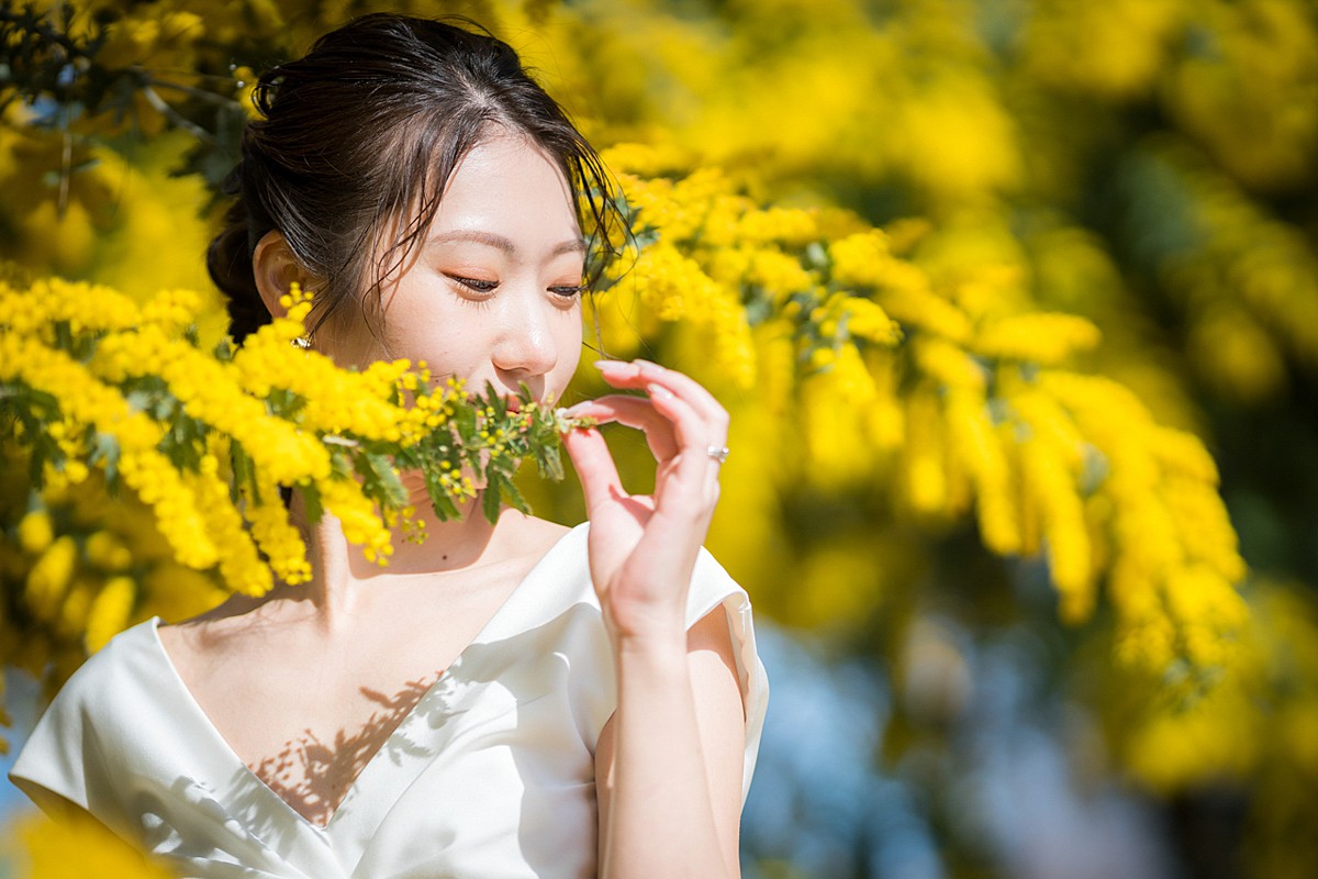 洋装(2着レンタル)撮影プラン