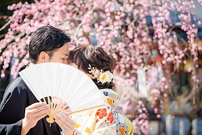 和装2着撮影プラン