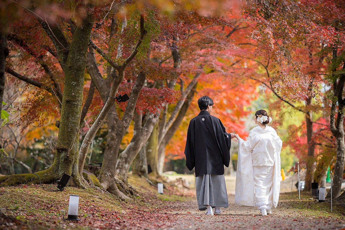 和装2着撮影プラン