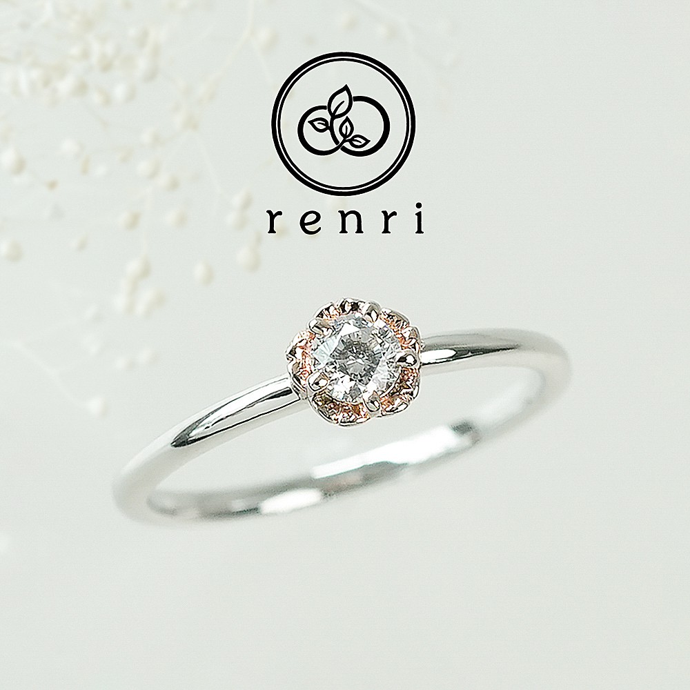 【花こよみ】桜