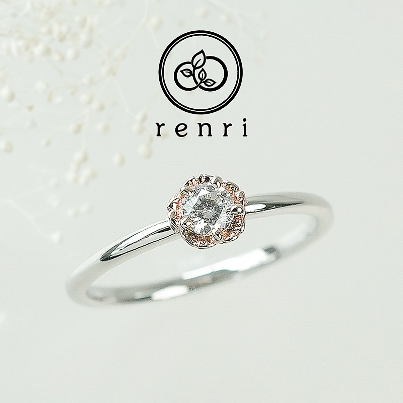 【花こよみ】桜