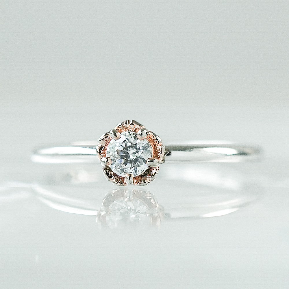 【花こよみ】桜