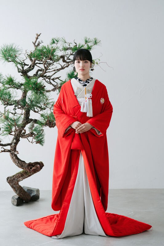 花山茶-hanasansa-