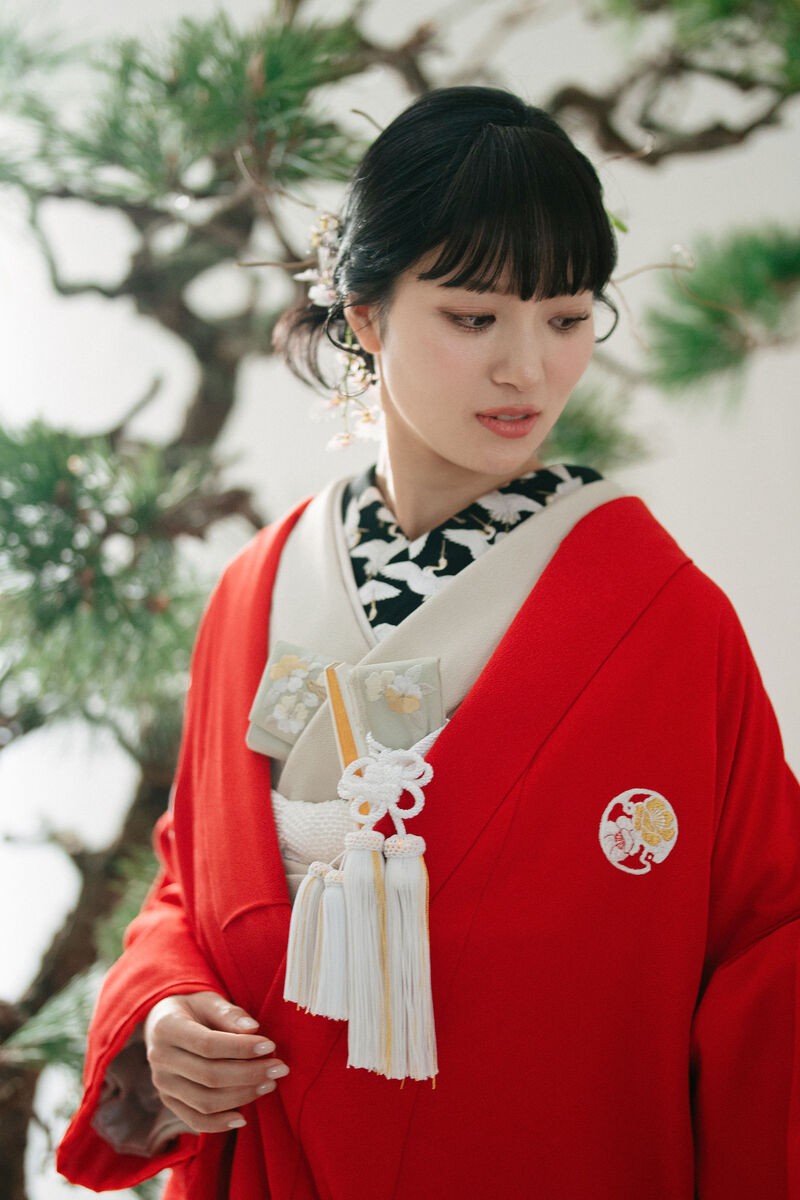 花山茶-hanasansa-