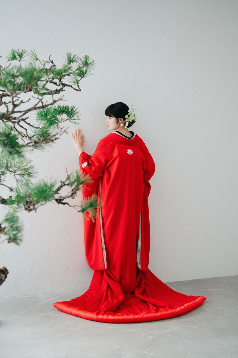 花山茶-hanasansa-