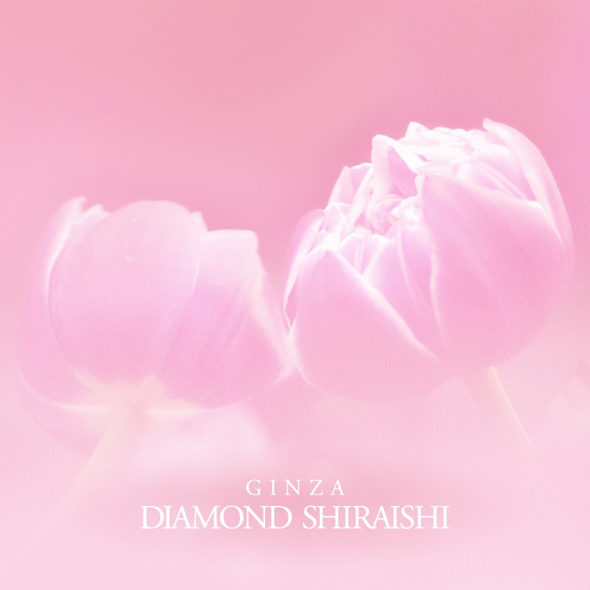 Live Allove（リヴ アローヴ）