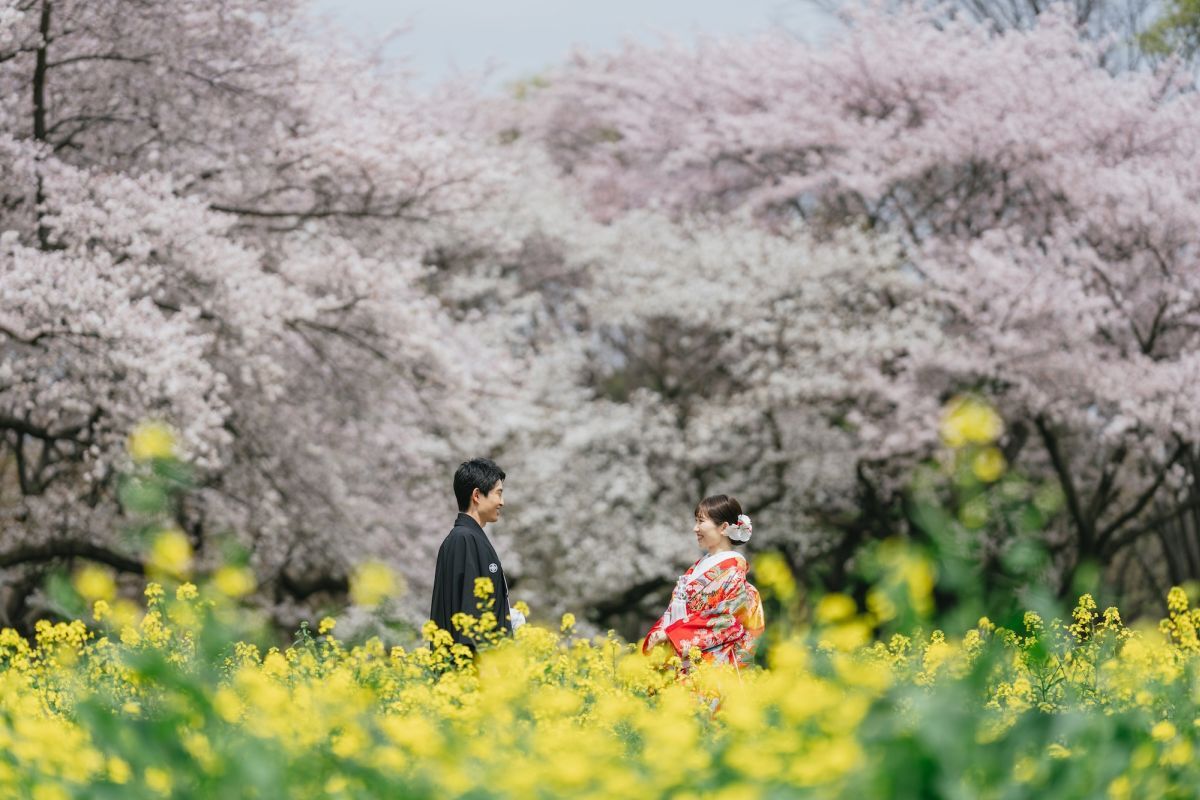 和装ロケーション