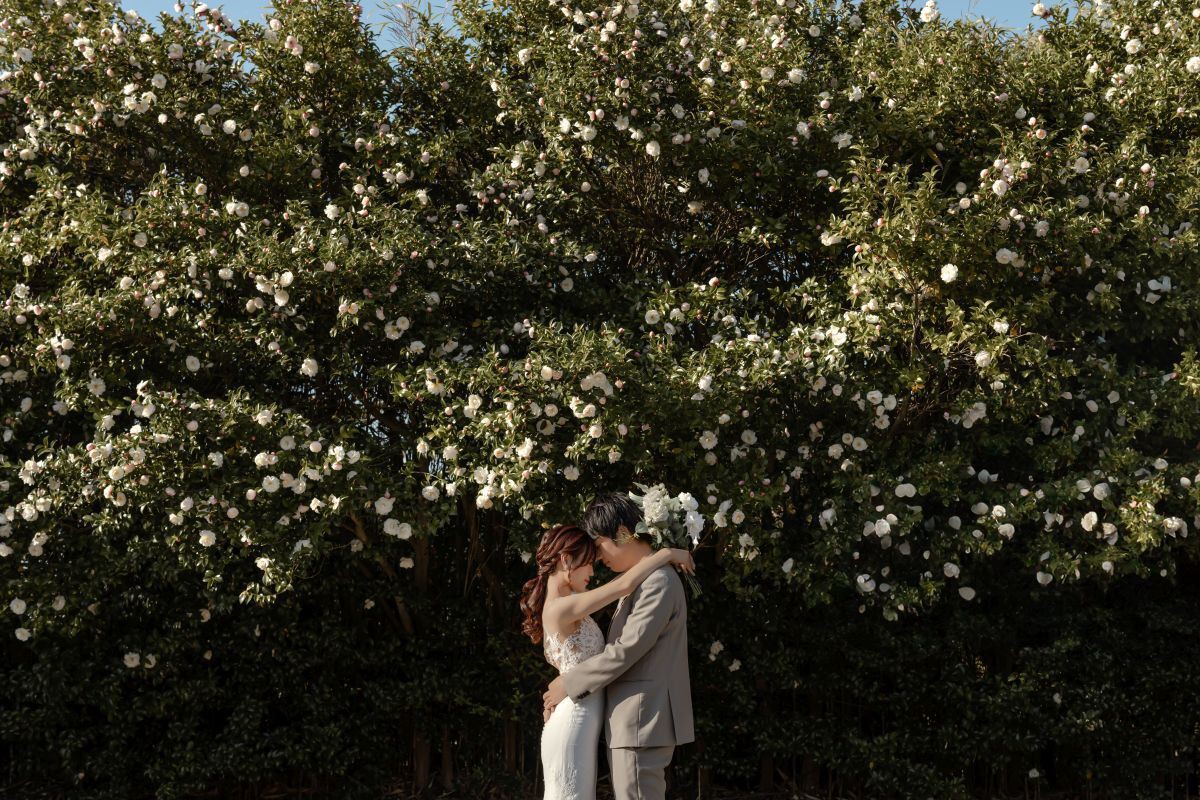 洋装フォトプラン