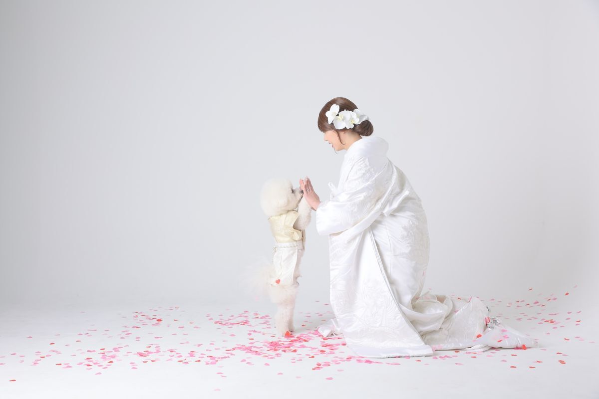 和装スタジオPLUS＋