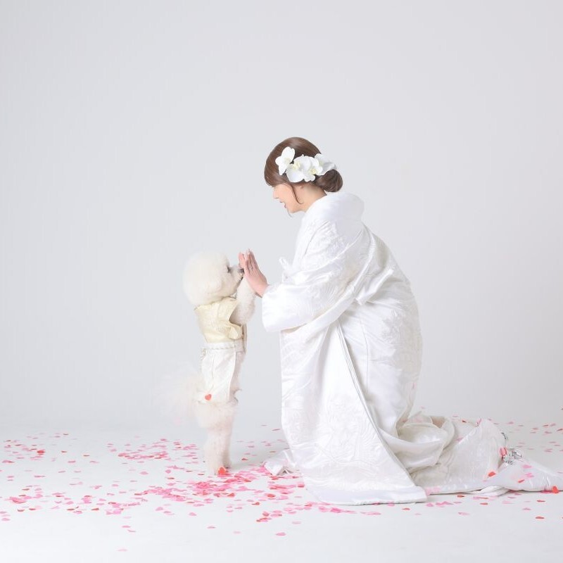 和装スタジオPLUS+