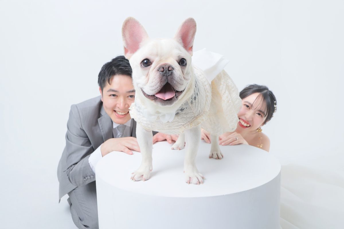 洋装スタジオPLUS+