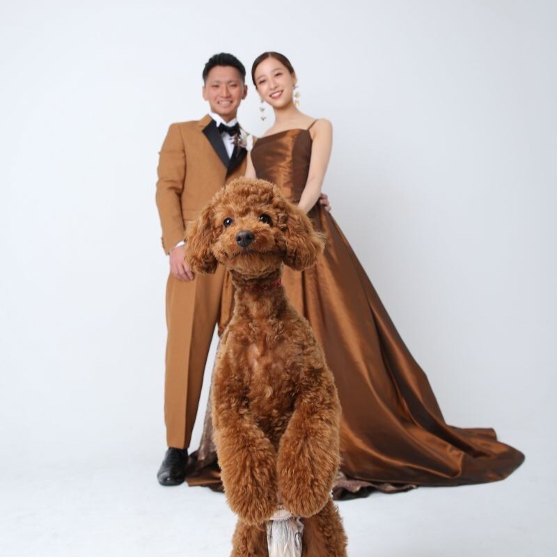 洋装スタジオPLUS＋