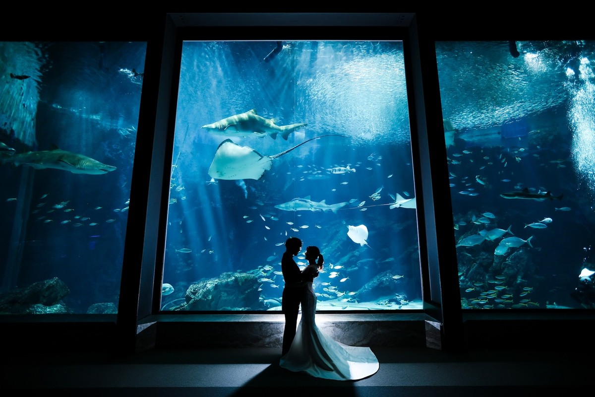 【フォトウェディング】洋装ロケーション