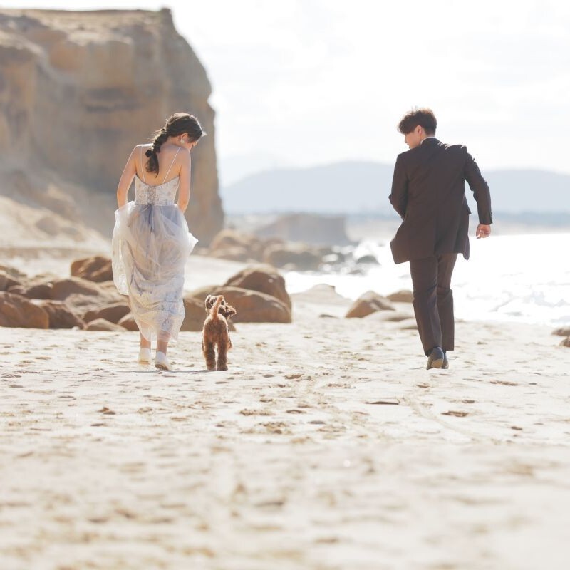 【家族・ペットと一緒に】洋装ロケーション