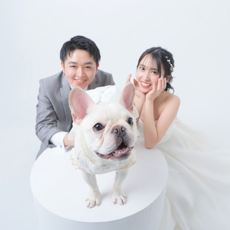 洋装スタジオPLUS＋