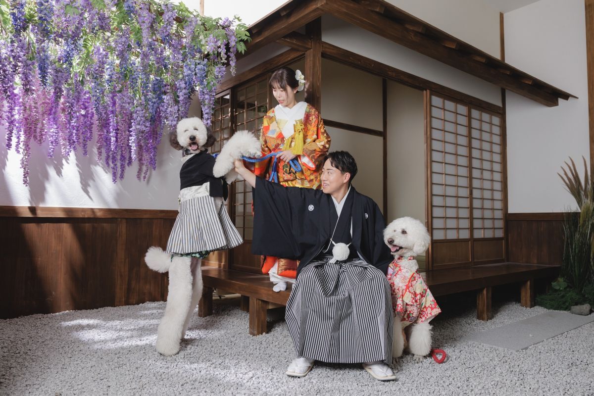 【家族・ペットと一緒に】和装スタジオ/屋内庭園スタジオ