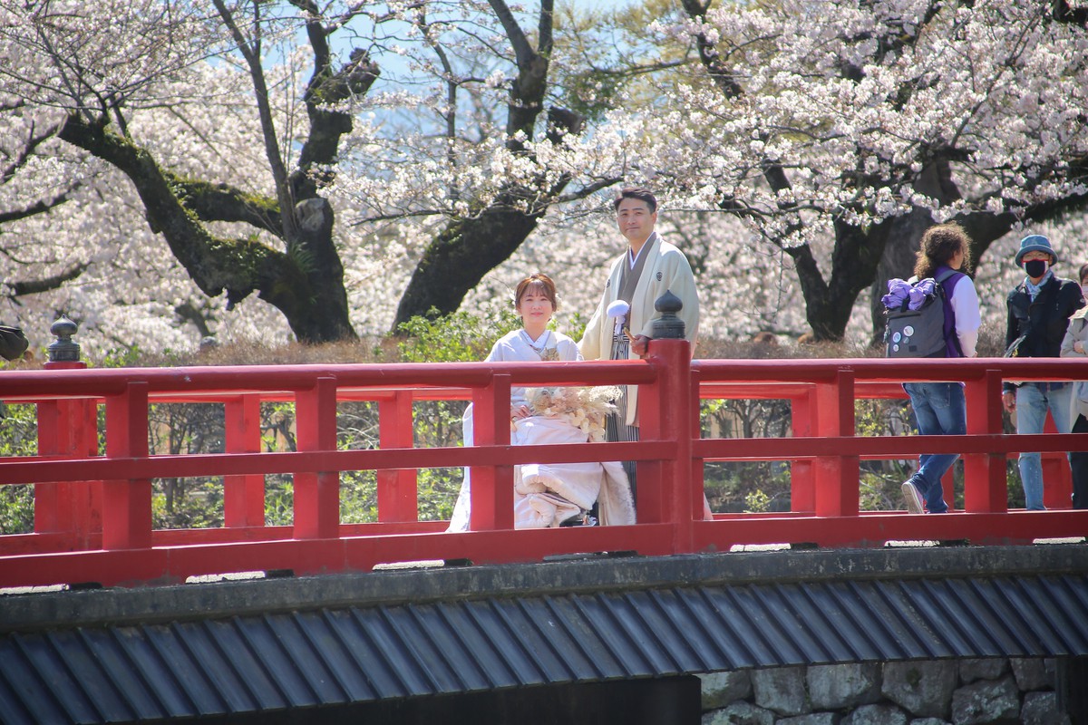 【インクルーシブフォトウェディング】お城で叶える 和洋装フォトWedding