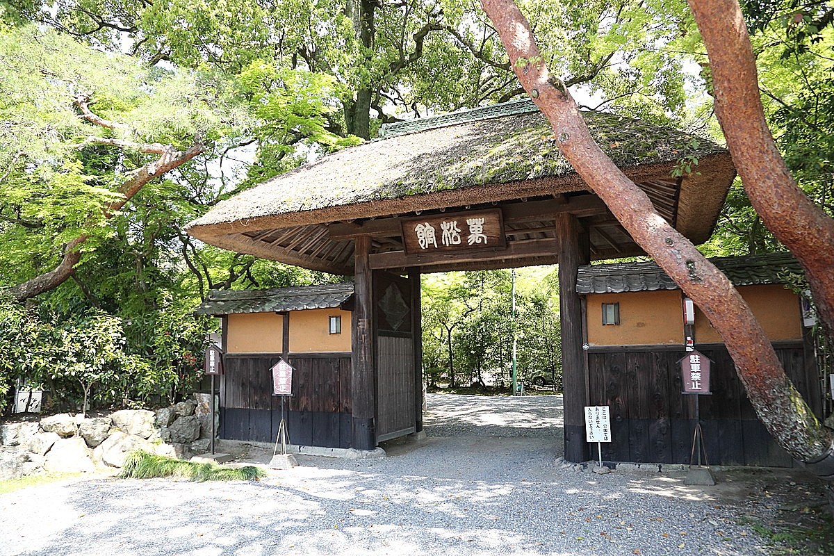 タイパが魅力。スキマ時間を活かせるクイック相談会