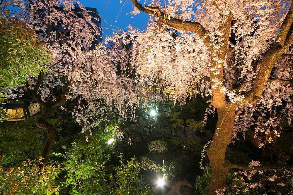 タイパが魅力。スキマ時間を活かせるクイック相談会