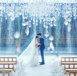 なんでも相談できて安心【初心者向け】総合フェア＊試食なし