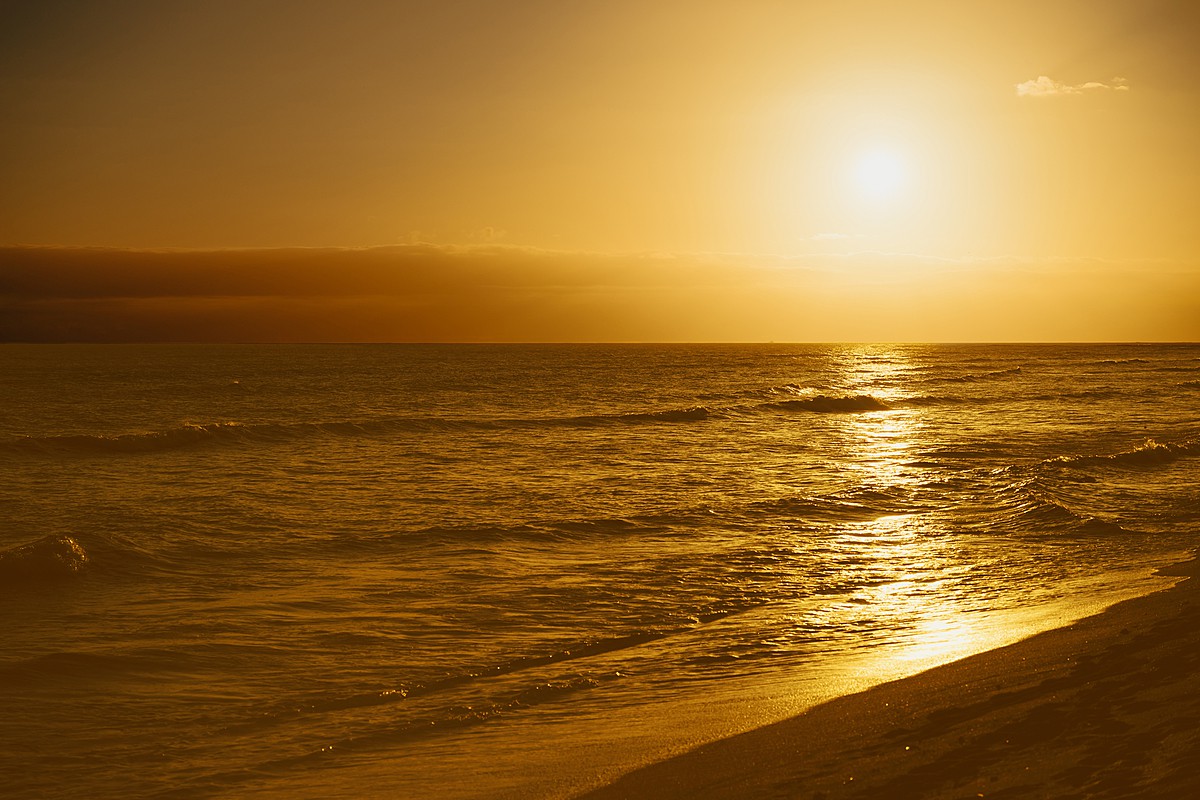 【東京サロン開催】\ハワイW&お披露目パーティ/リゾートW対面相談フェア