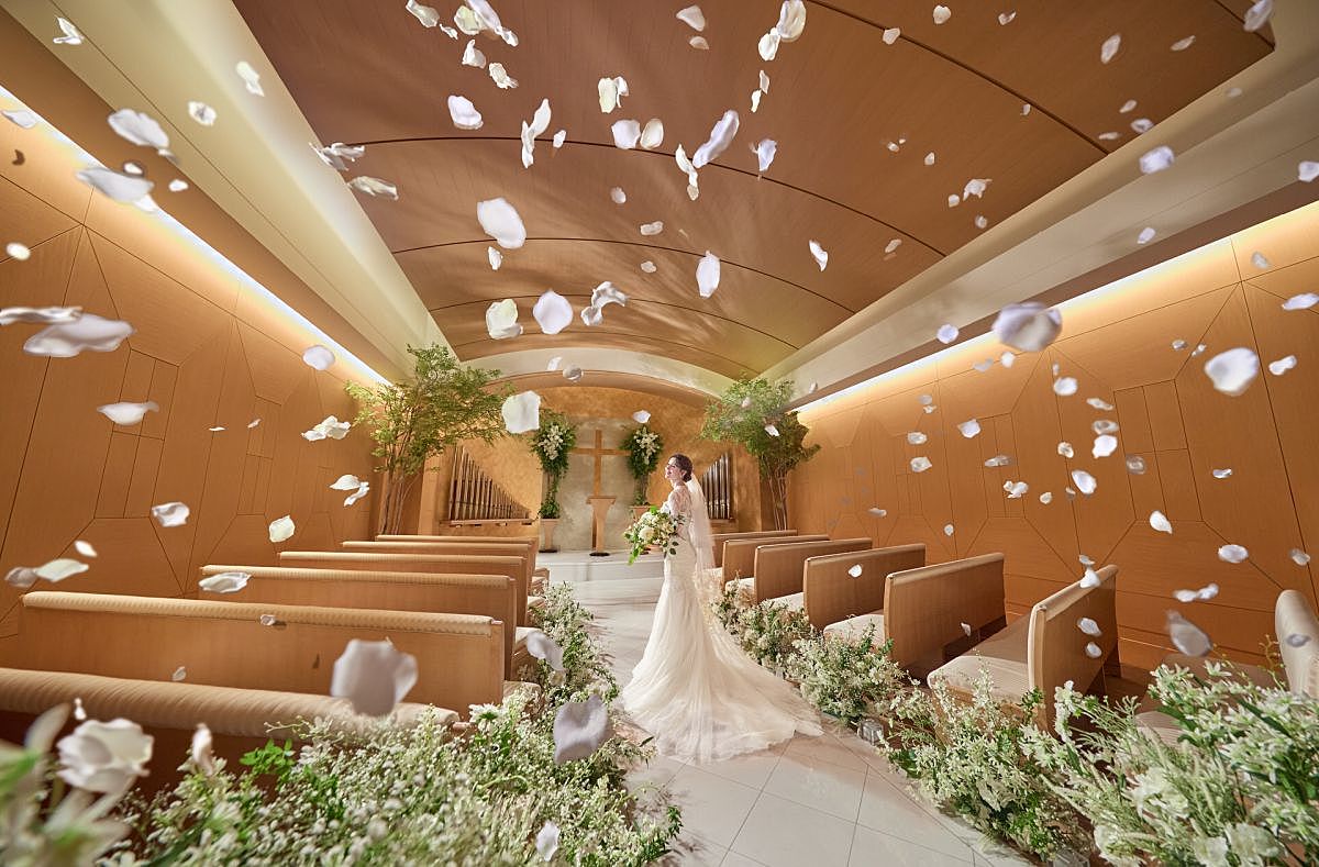 なんでも相談できて安心【初心者向け】総合フェア