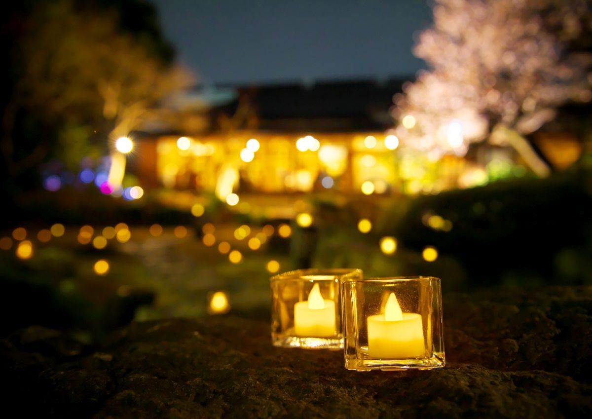 コスパ重視なら。安心＆納得のじっくり見積もり相談会