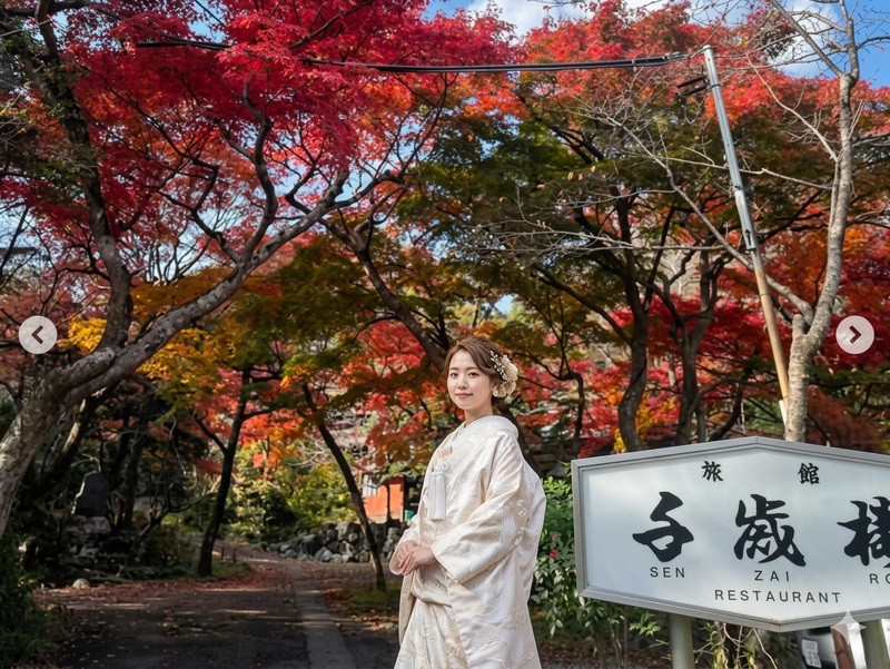 出産前の短期間で効率的に準備!マタニティ婚相談会