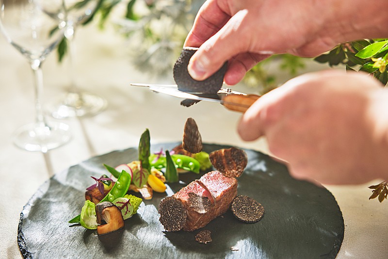 ブライマリーコート