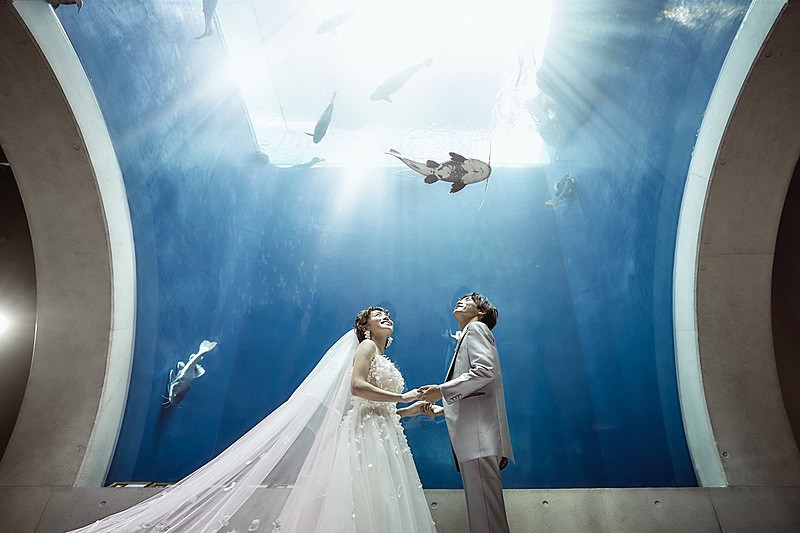 ヴォヤージュコウベ （VOYAGE KOBE 次世代水族館「アトア」）