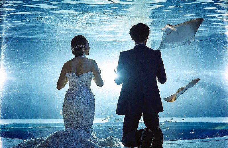 ヴォヤージュコウベ （VOYAGE KOBE 次世代水族館「アトア」）