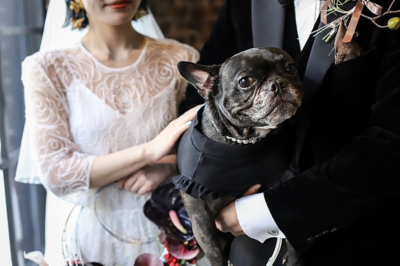 ジャムオーケストラ（JAM ORCHESTRA）