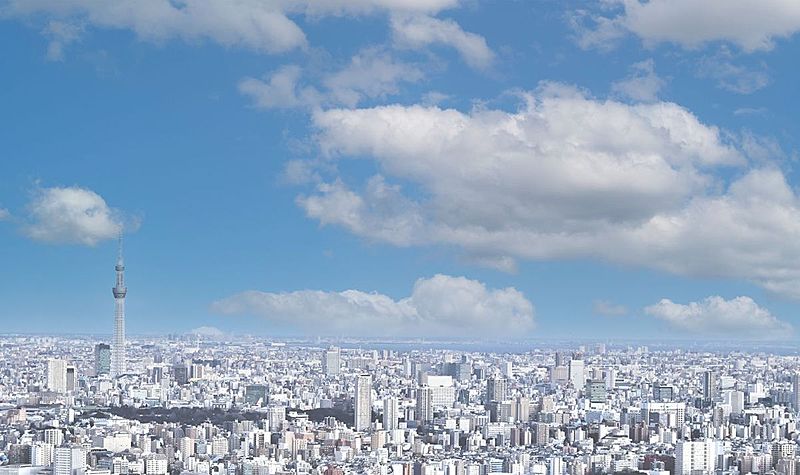 サンシャインクルーズ・クルーズ