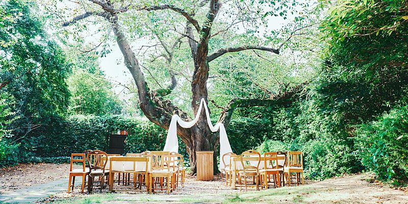 三橋の森ウエディング  ラ・クラリエール（La Clairiere）