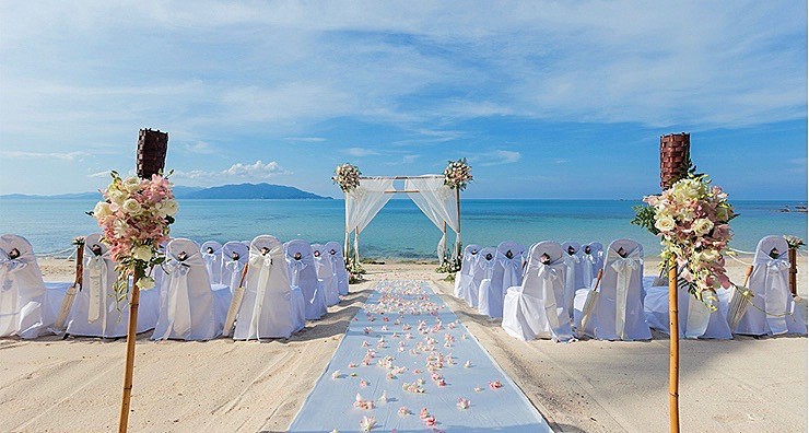 The Palm BEACH Club