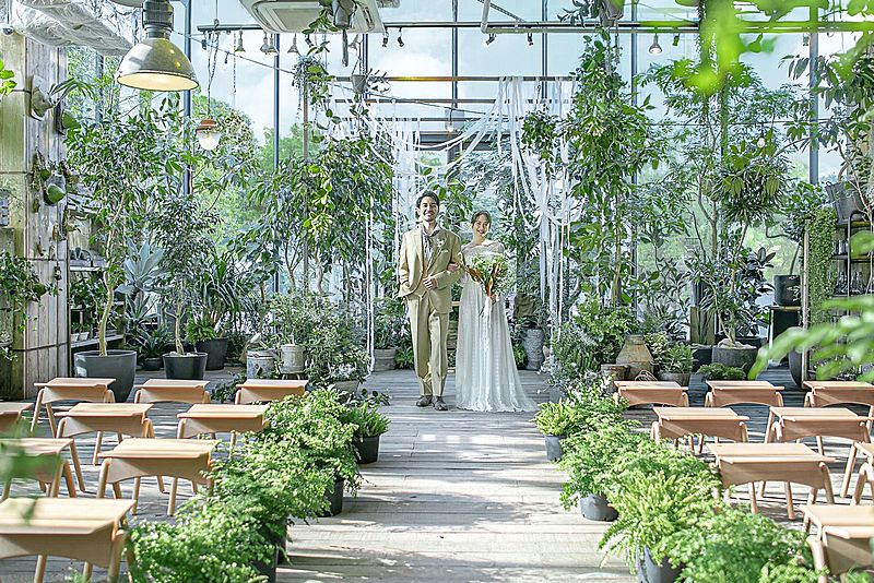 メディー（MEDI）