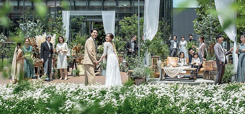 メディー（MEDI）