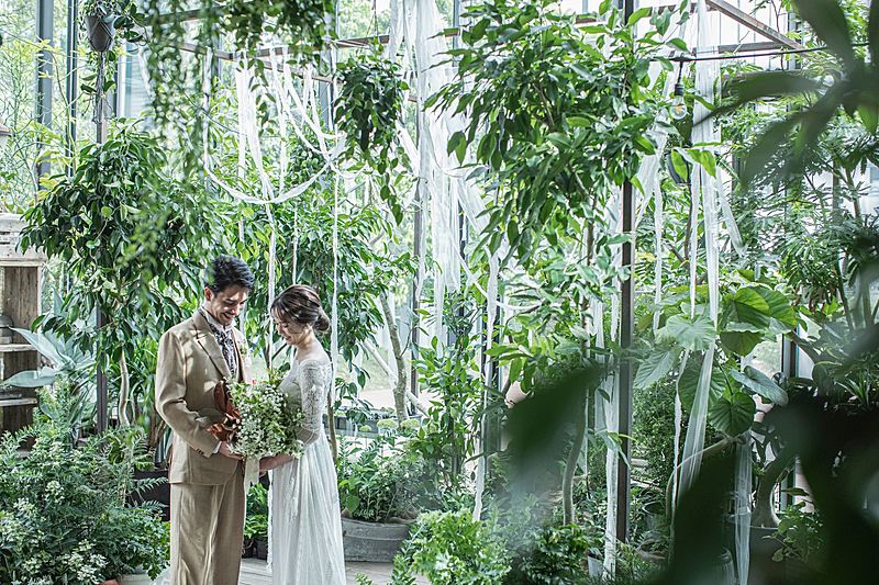 メディー（MEDI）